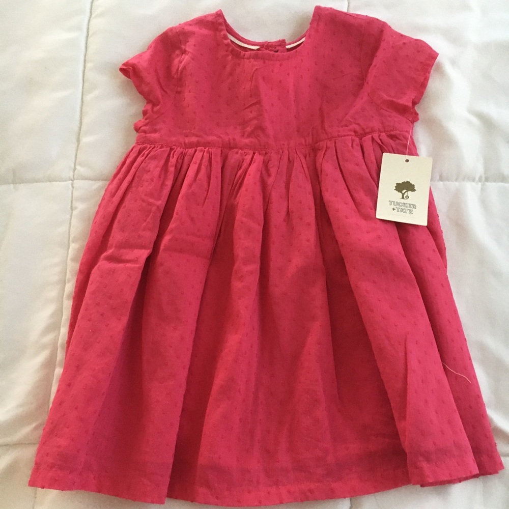 Tucker + Tate pink dress 18mo